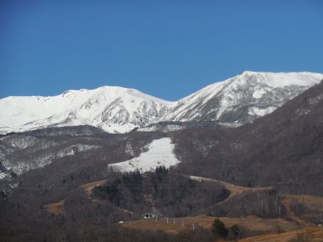 DSCN7801.JPG